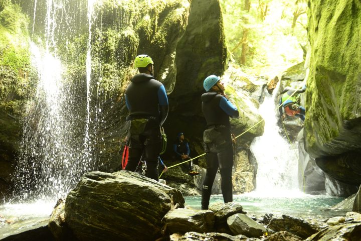 people enjoying the views