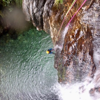 a large waterfall next to a tree