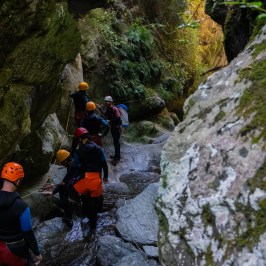 A look at the canyon