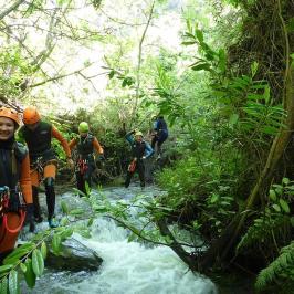a group of people in a forest