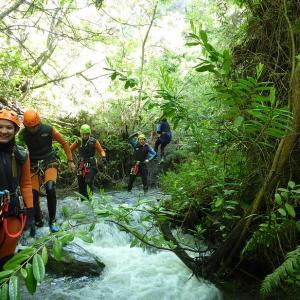 a group of people in a forest