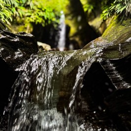 The water flowing through the canyon