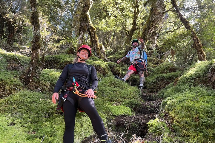 a group of people in a forest