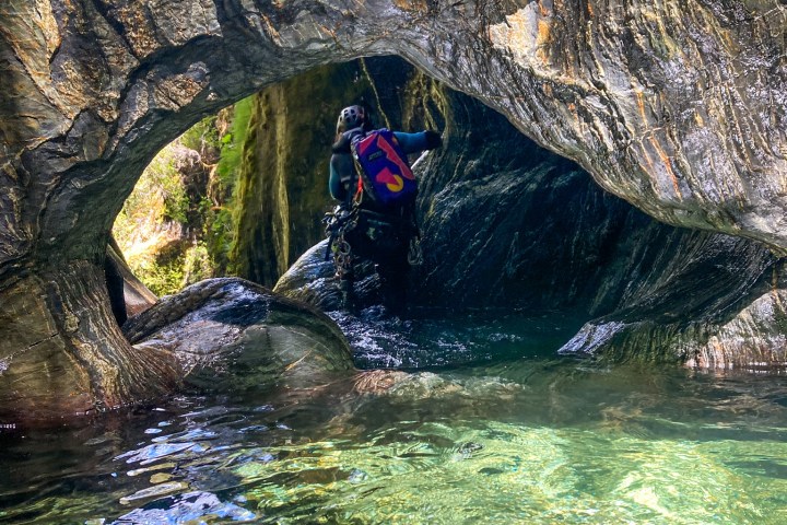 a tree next to a body of water