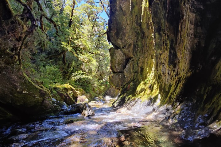 a large waterfall in a forest