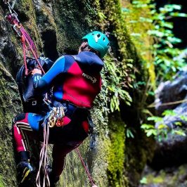 a person in a forest