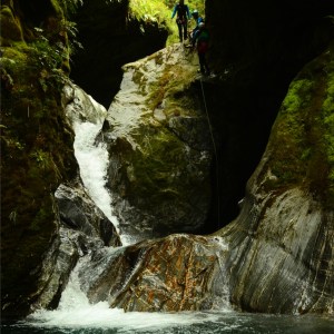 Taking off for a jump