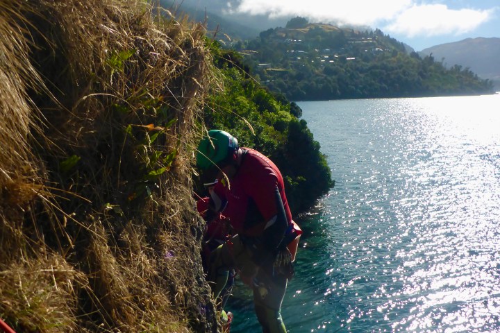 Climbers on a grassy cliff beside a lake with mountains in the background.