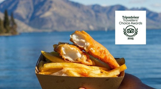 Fish and chips by a lake with mountains, 'Tripadvisor Travellers' Choice Awards 2025' logo on the side.