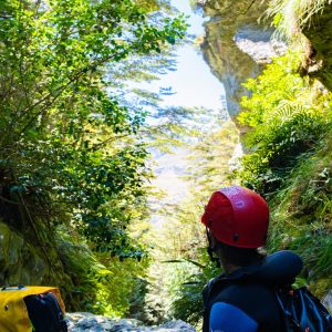 Person in helmet and wetsuit sitting among rocks and foliage, looking at a lush canyon.