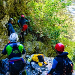 Group of people in helmets and gear hiking through a lush, rocky canyon.