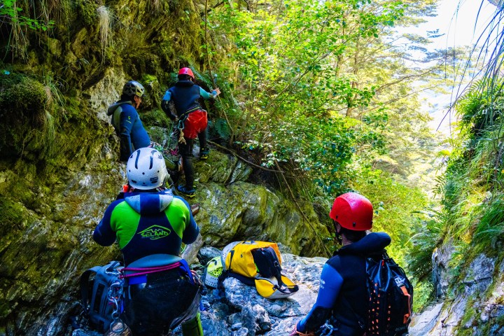 Group of people in helmets and gear hiking through a lush, rocky canyon.