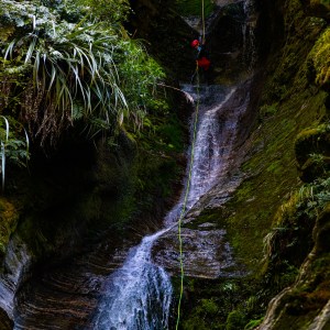Person rappelling down a lush, narrow canyon with a waterfall.