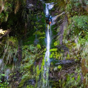 Person descending a waterfall with climbing gear in a lush, green forested area.
