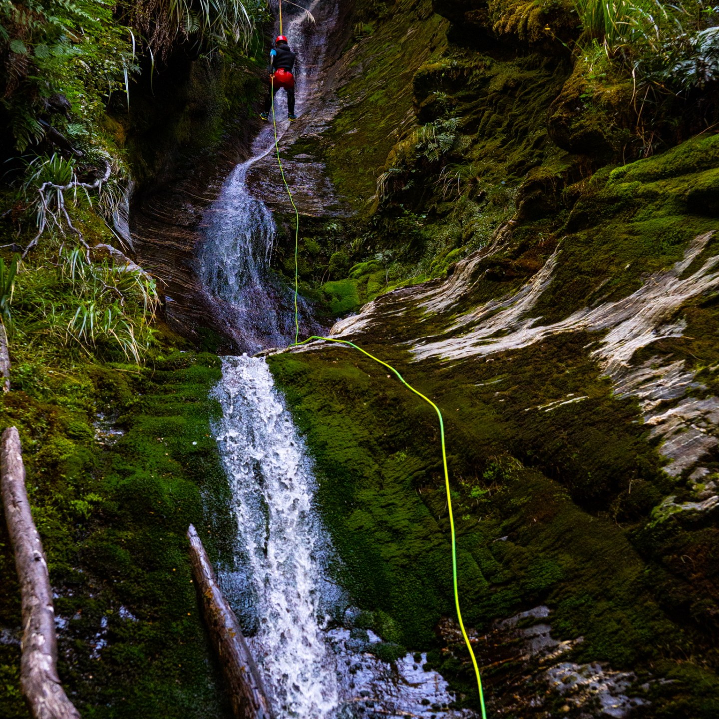 Person rappelling down a mossy waterfall in a lush canyon.