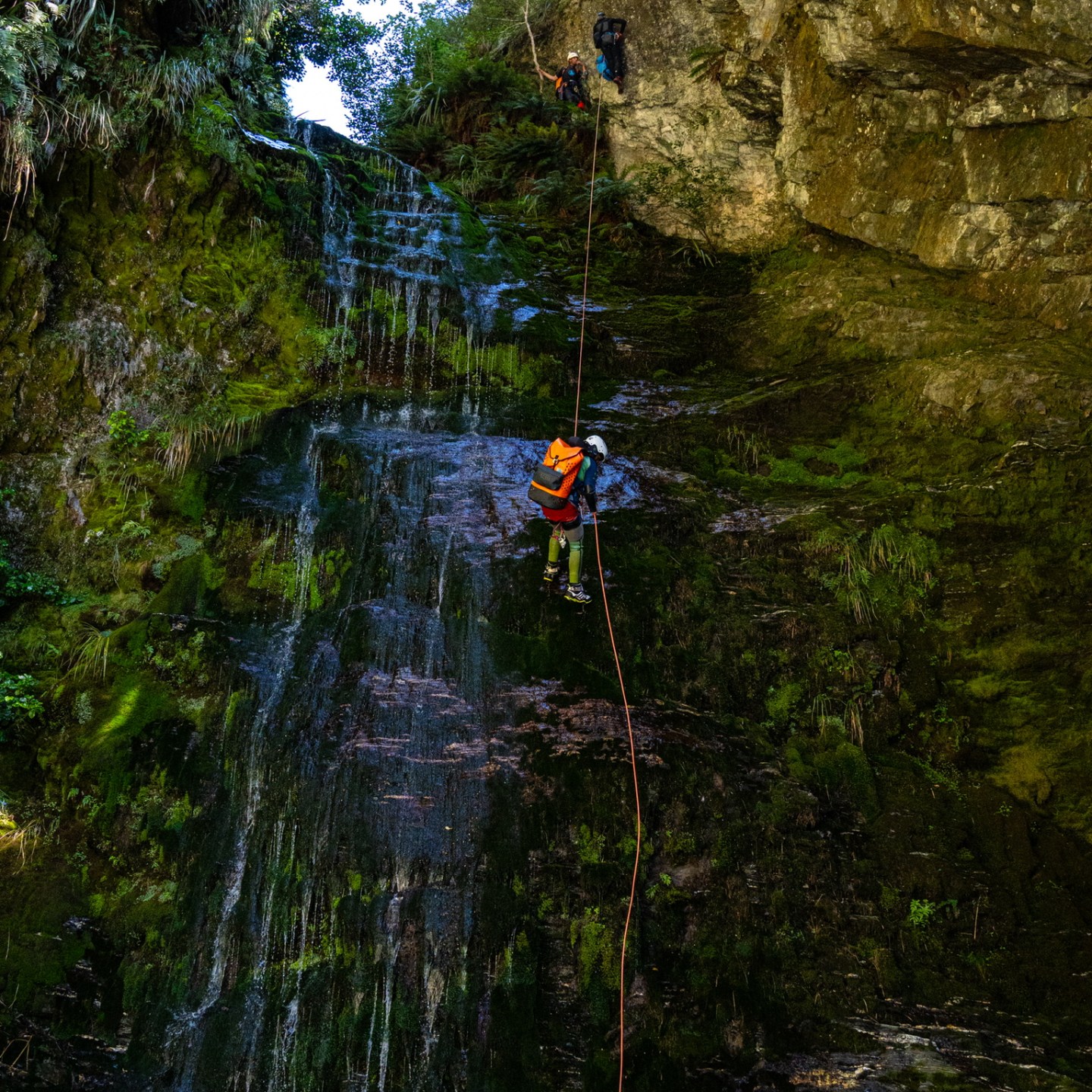 Two people abseiling down a mossy cliff beside a waterfall.