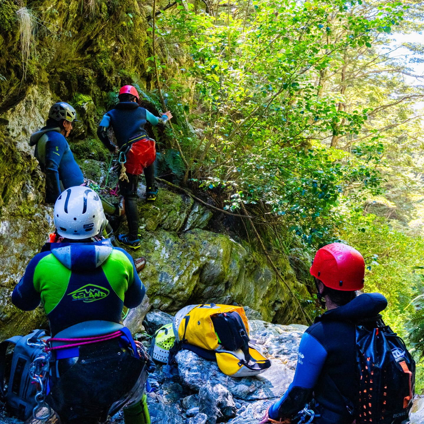 Group of people in helmets and gear canyoning in a forested rocky terrain.