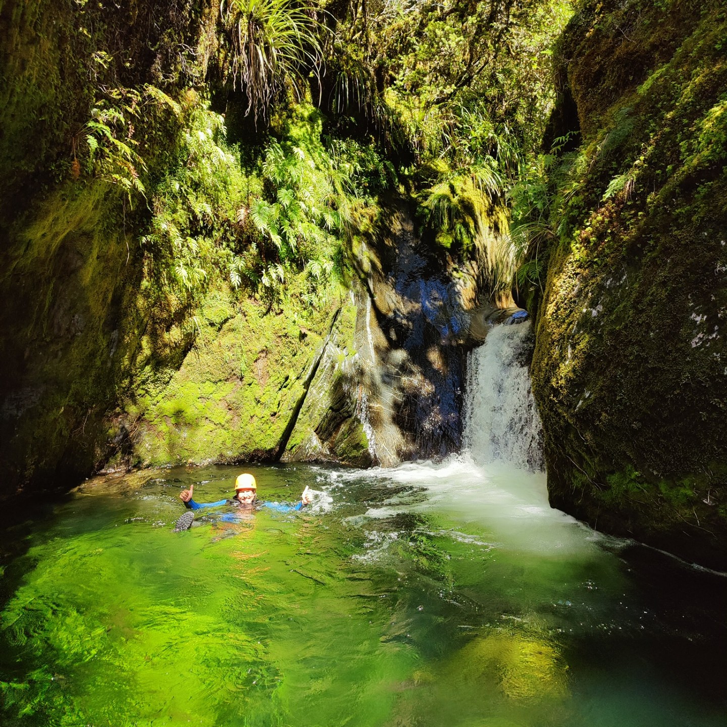 Person swimming in clear green pool by small waterfall in lush forest.