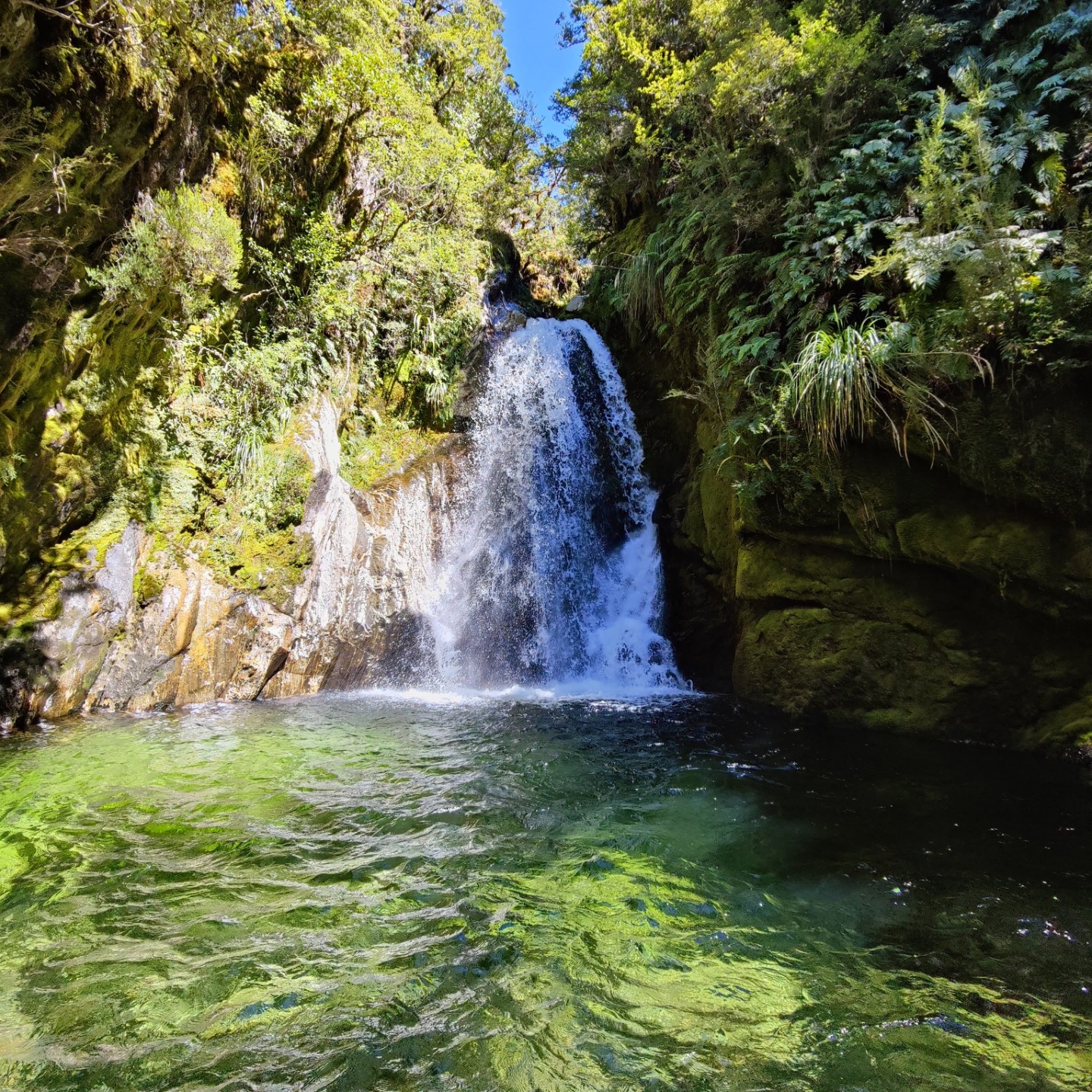 Waterfall flowing into a clear green pool surrounded by lush greenery.