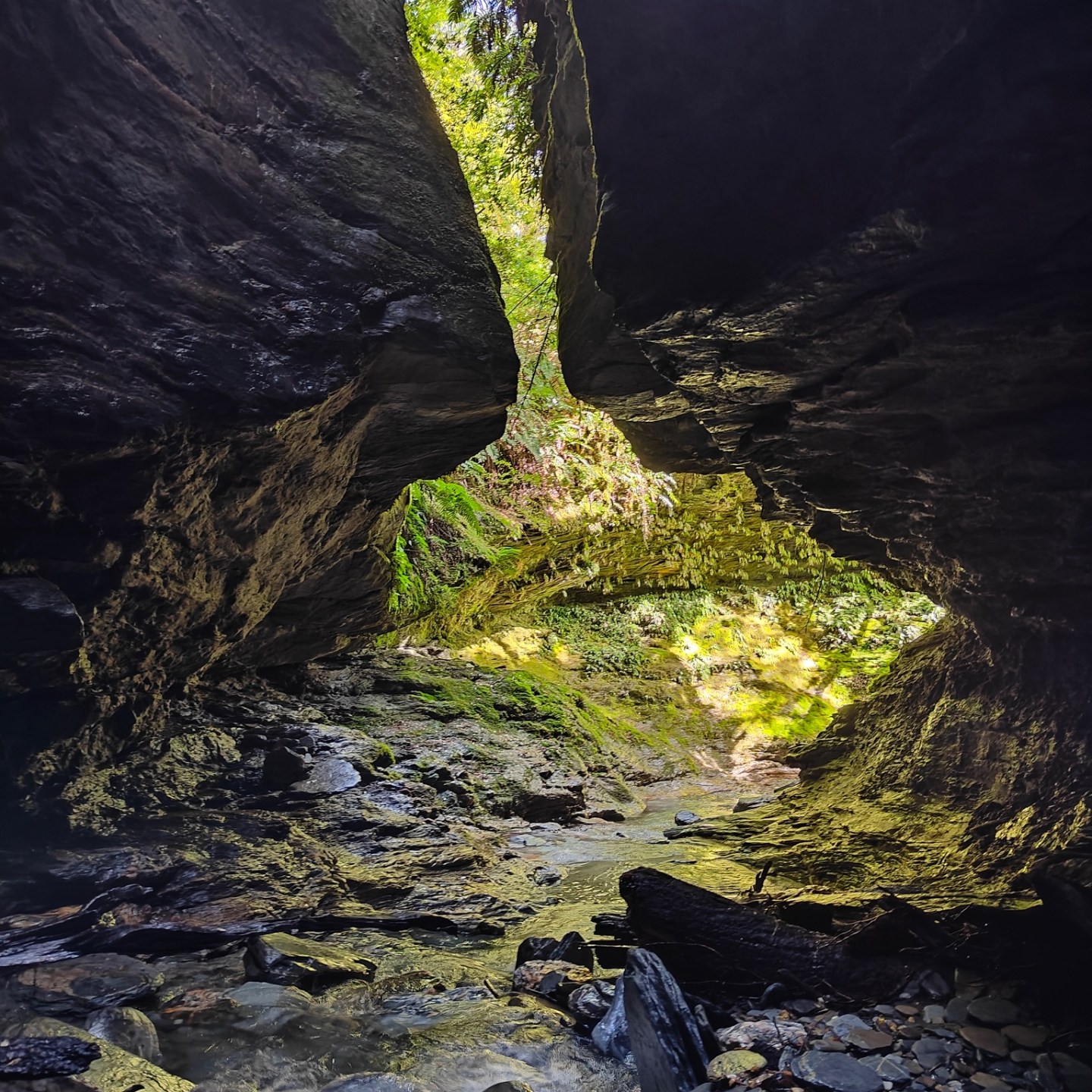 View from inside a rocky cave looking out towards green foliage.