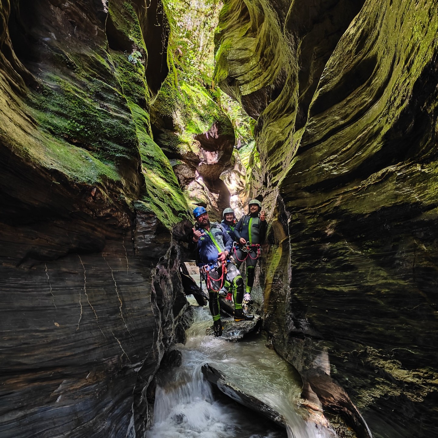 Group hiking in a narrow, mossy canyon with a small stream.