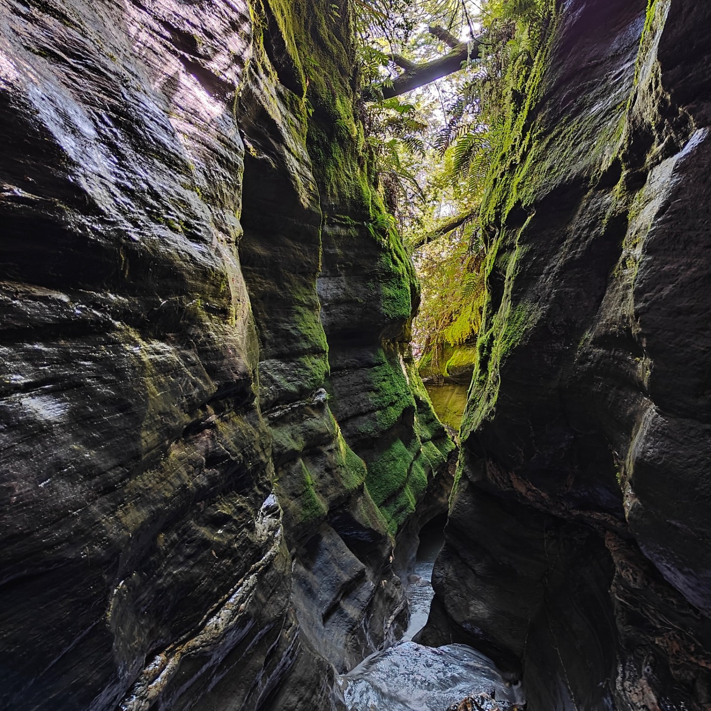 Narrow, moss-covered canyon with a stream flowing through rocks, sunlight peeking from above.