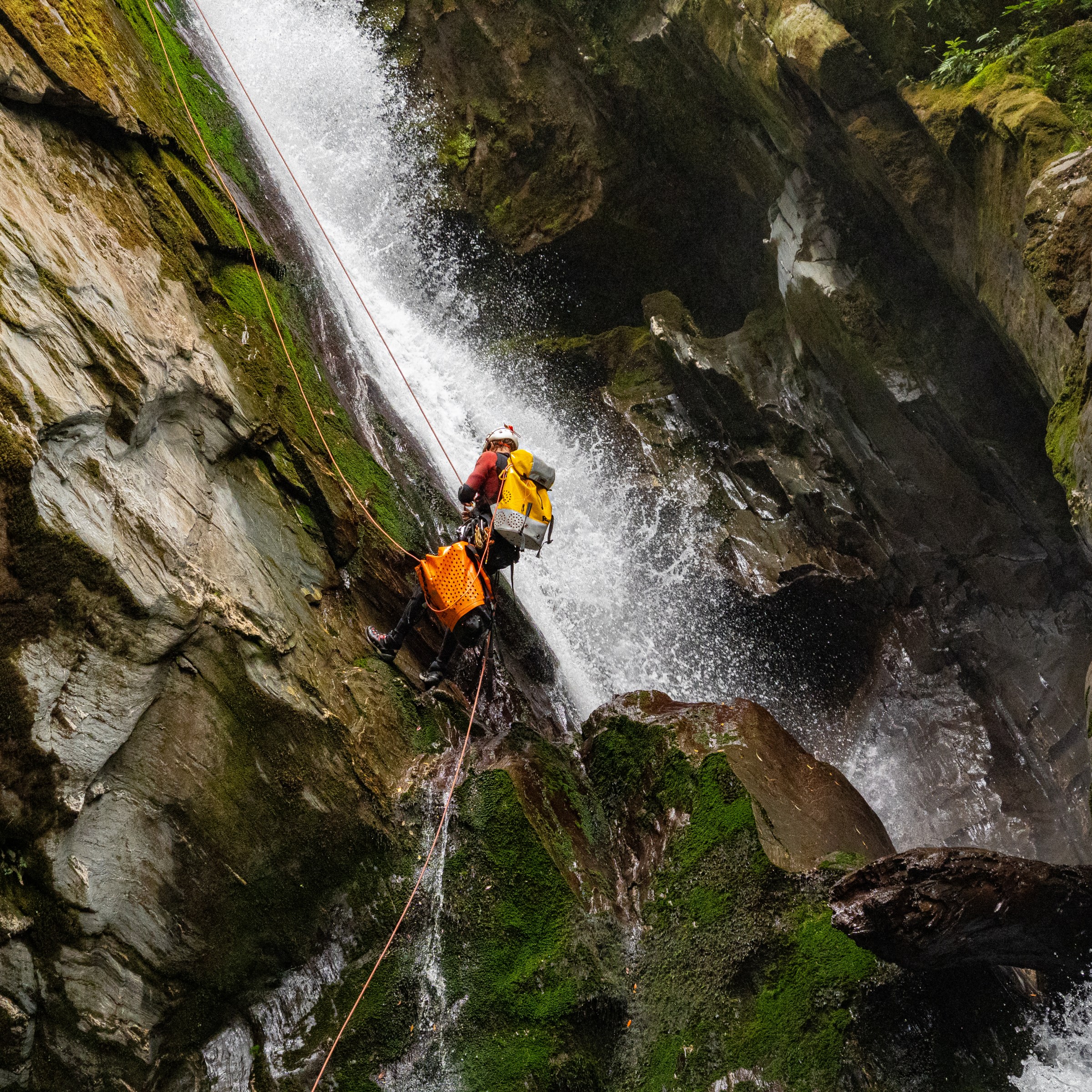 Two people canyoning down a mossy waterfall with ropes.